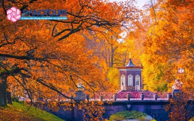 Mùa thu nước Nga có gì đẹp mà khiến du khách say mê từ ánh nhìn đầu tiên?