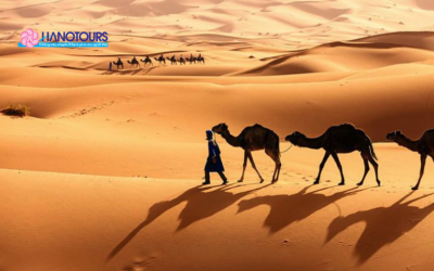 Sa mạc Sahara: Chinh phục đồi cát cháy và ốc đảo xanh