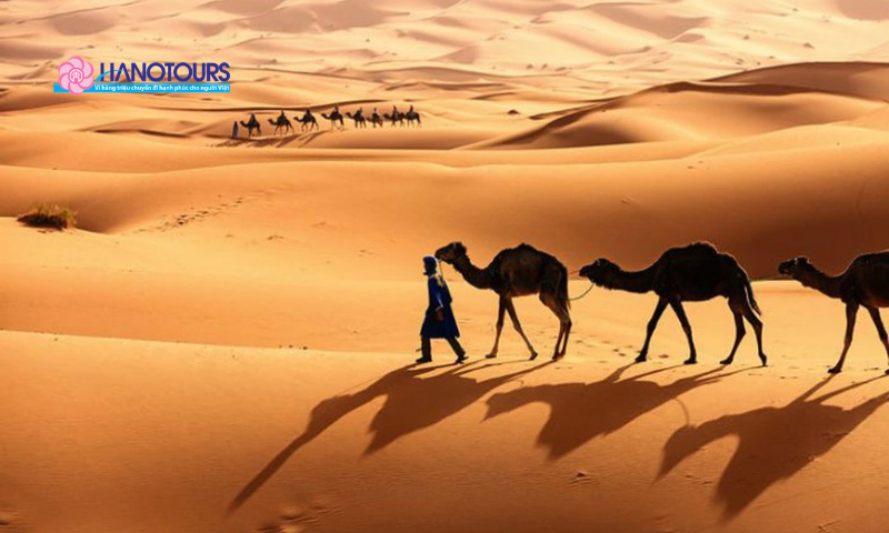 Sa mạc Sahara: Chinh phục đồi cát cháy và ốc đảo xanh