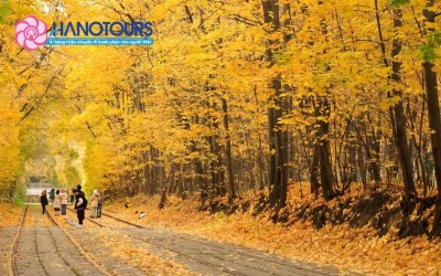 Xứ sở Bạch Dương - Vẻ đẹp vượt thời gian trong hành trình khám phá nước Nga