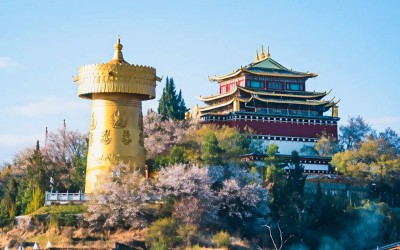 Kinh nghiệm du lịch Shangri-La từ A-Z: Những điều bạn nhất định phải biết