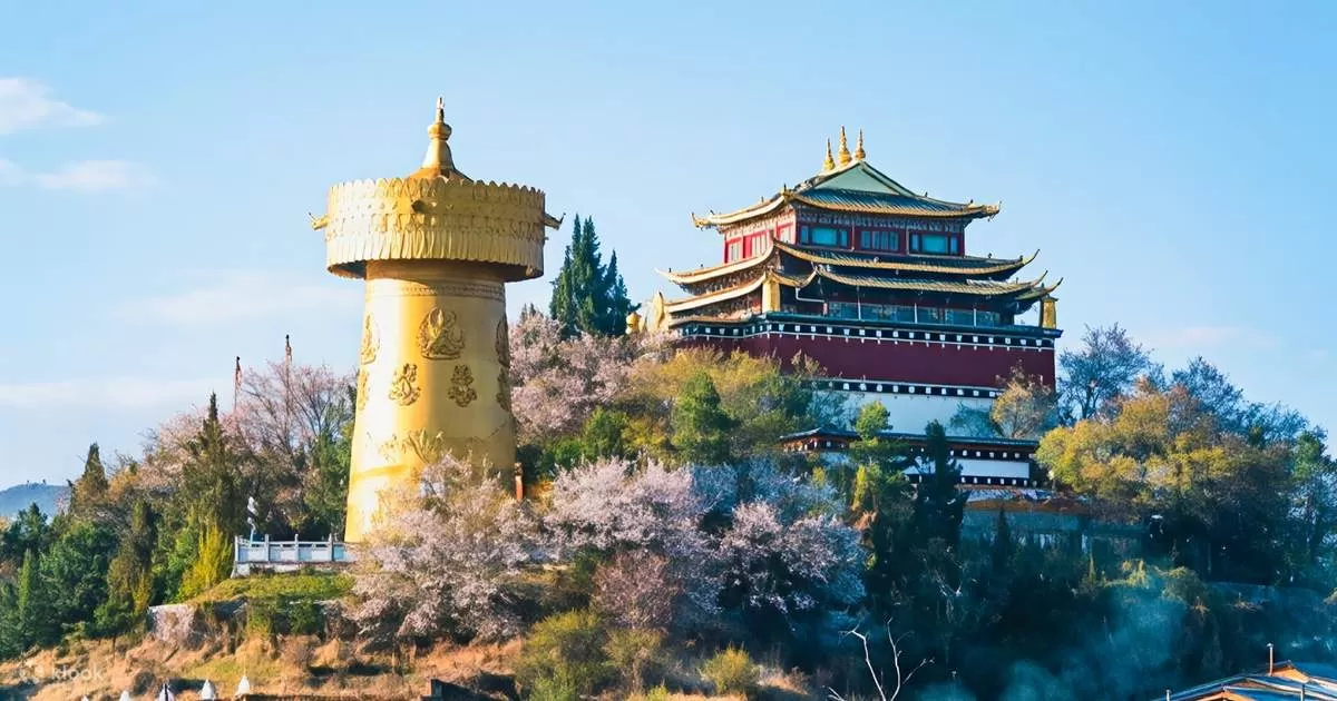 Kinh nghiệm du lịch Shangri-La từ A-Z: Những điều bạn nhất định phải biết