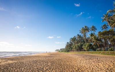 Những địa điểm du lịch Kalutara Sri Lanka: Khám phá miền biển giàu dấu ấn văn hóa