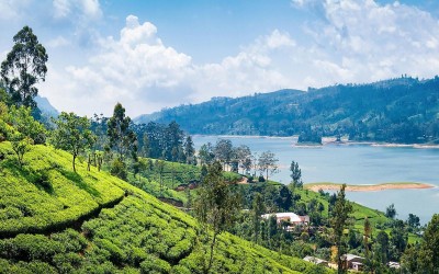 Địa điểm du lịch Nuwara Eliya Sri Lanka: Khám phá miền cao nguyên chè nổi tiếng