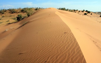 Sa mạc Kyzylkum – Khám phá miền cát đỏ kỳ thú của Uzbekistan