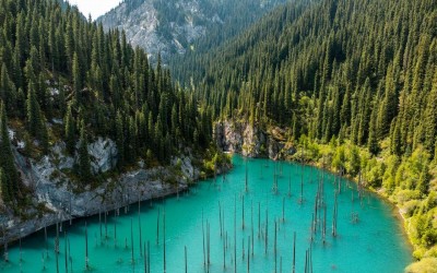 Khám phá khu rừng chìm giữa lòng hồ Kaindy Kazakhstan
