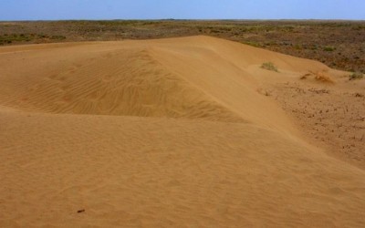 Sa mạc Kyzylkum Kazakhstan – Vùng cát đỏ rộng lớn của Trung Á