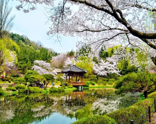 hinhanh