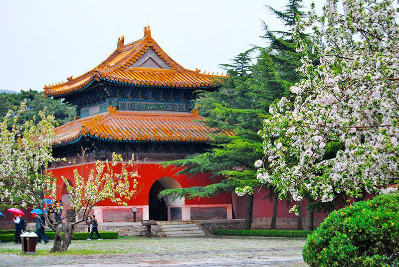 hinhanh