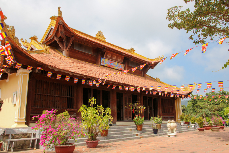 hinhanh