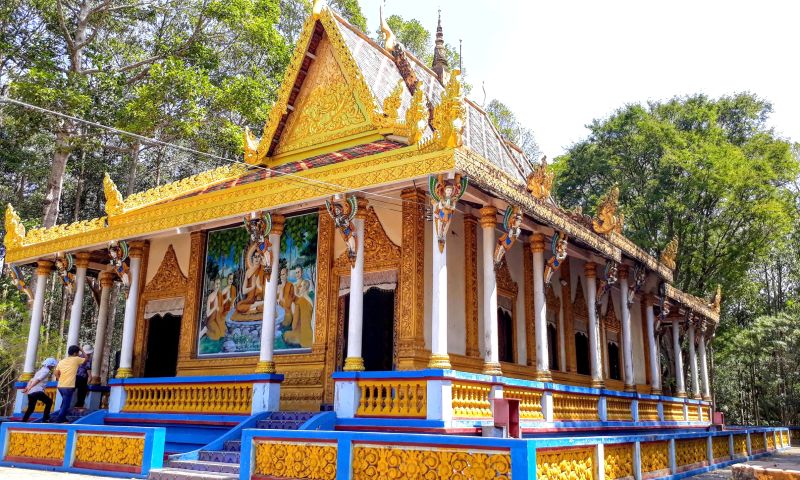 hinhanh