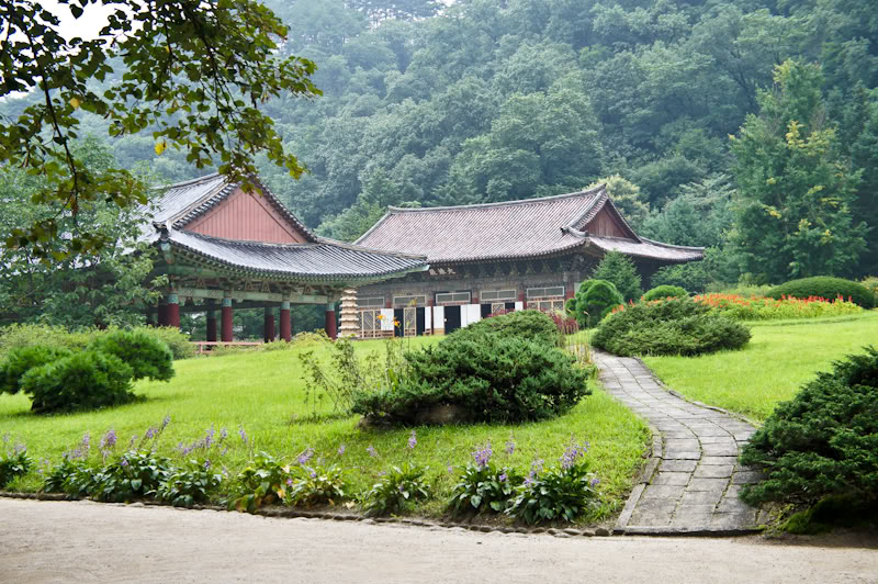 hinhanh