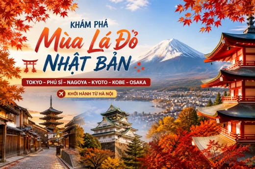 hinhanh