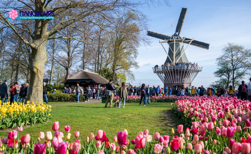 Hà Lan - xứ sở hoa tulip