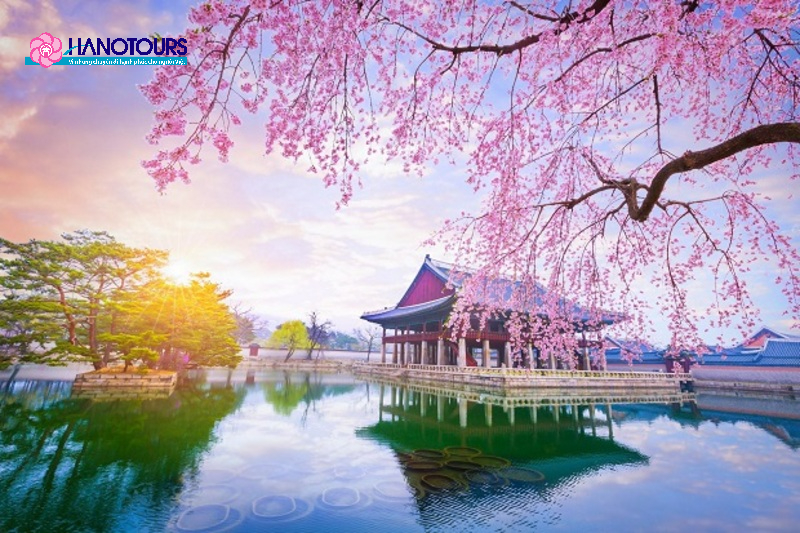 Thời tiết Hàn Quốc tháng 4 tuyệt đẹp để đi du lịch