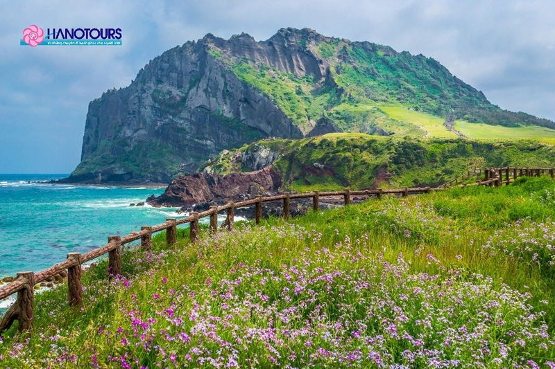 Jeju là nơi lưu trú hoàn hảo để thư giãn và tận hưởng những khoảnh khắc bình yên bên bờ biển xanh