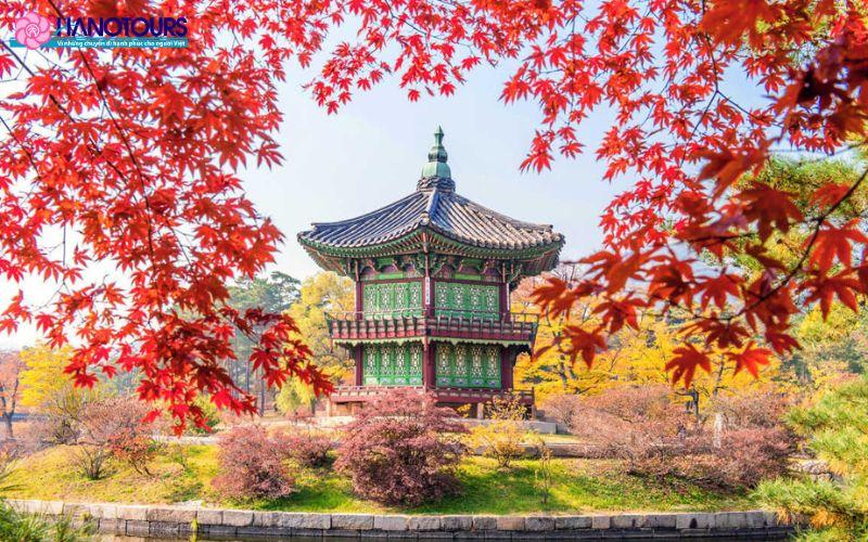 Cung điện Changdeokgung nổi bật giữ sắc màu rực rỡ của thiên nhiên