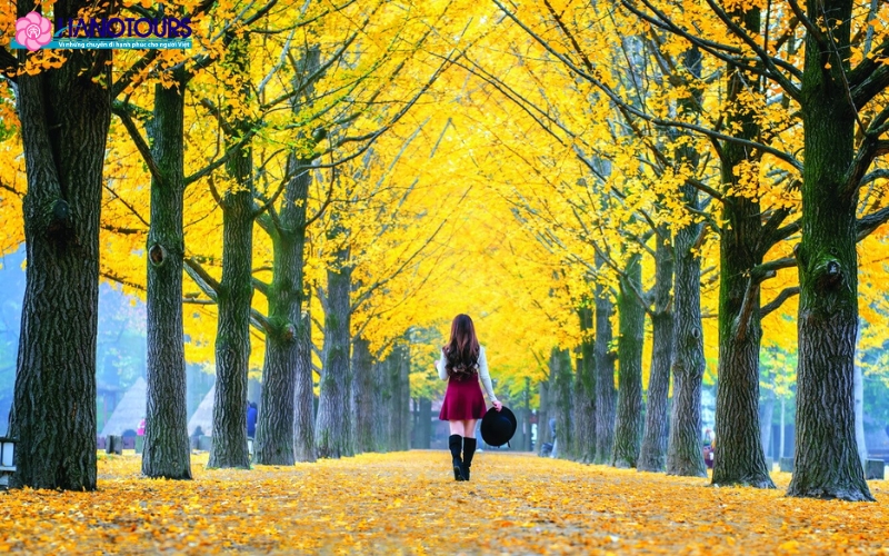 Bạn nên chuẩn bị thêm quần áo ấm khi đi du lịch vào mùa thu ở Hàn Quốc