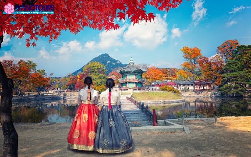 Mùa Thu tại Hàn với khung cảnh lá vàng lãng mạn
