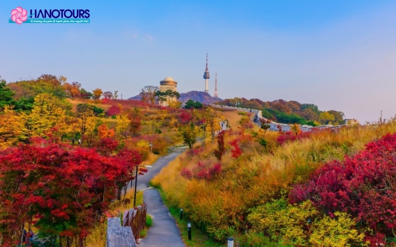 Công viên Namsan trở nên lãng mạn hơn vào mùa thu