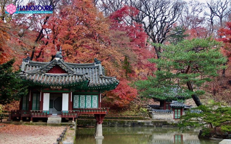 Cung điện Gyeongbokgung vào mùa thu mang hơi thở quá khứ yên bình và thơ mộng