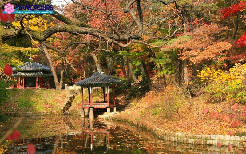 Cung điện Changdeokgung rực rỡ sắc màu vào mùa thu