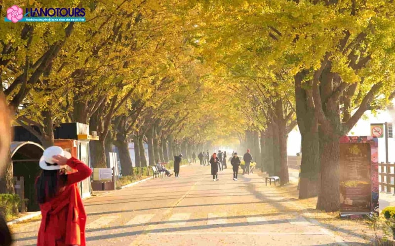 Đường phố Hyeonchungsa là con đường mùa thu tuyệt đẹp tại Hàn Quốc