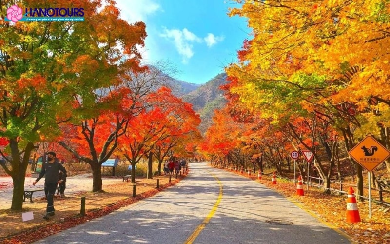 Du lịch Hàn Quốc tháng 11 có thời tiết se lạnh, dễ chịu