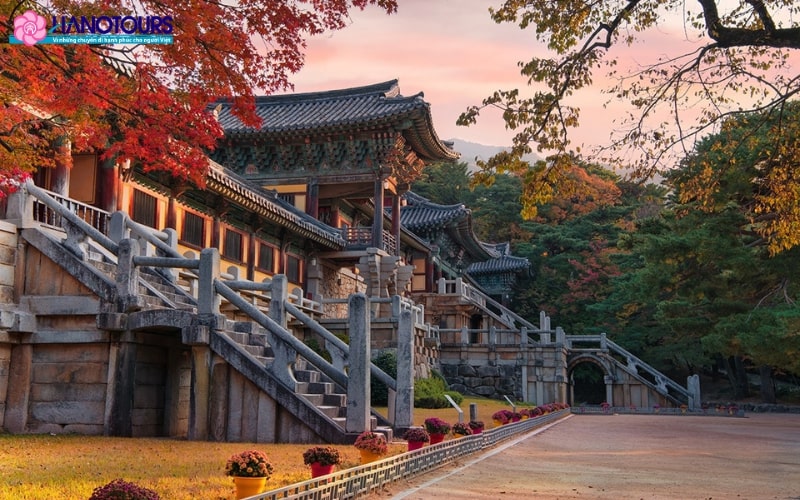 Thành phố cổ Gyeongju mang đậm dấu ấn lịch sử, văn hoá Hàn Quốc
