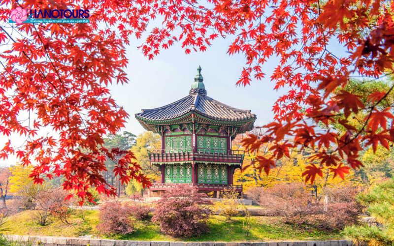 Mùa thu là thời điểm đẹp nhất trong năm để du lịch Hàn Quốc