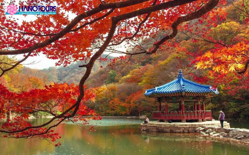 Naejangsan mang hơi thở của mùa thu đẹp đẽ, trữ tình 