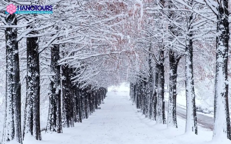 Nhiệt độ tháng 12 tại Hàn sẽ dao động từ -7 ºC đến 3 ºC