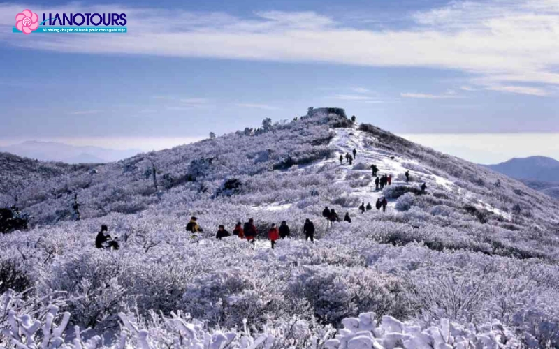 Núi Taebaek thu hút du khách bởi vẻ đẹp hùng vĩ