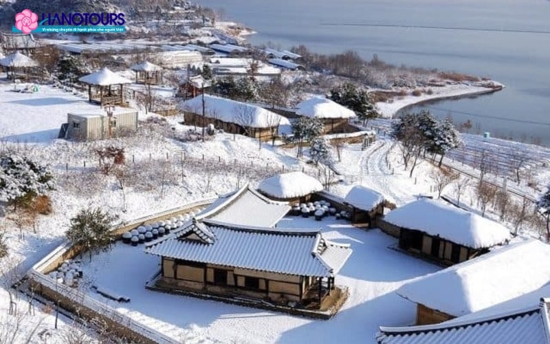 Đảo Jeju đắm chìm trong sắc trắng của tuyết tháng 1