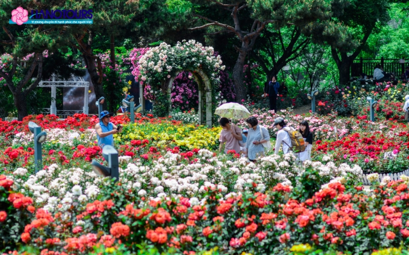 Du khách được tham gia lễ hội hoa với hàng ngàn đóa hoa rực rỡ