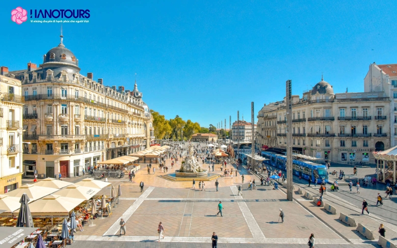 Montpellier được mệnh là thành phố của tri thức