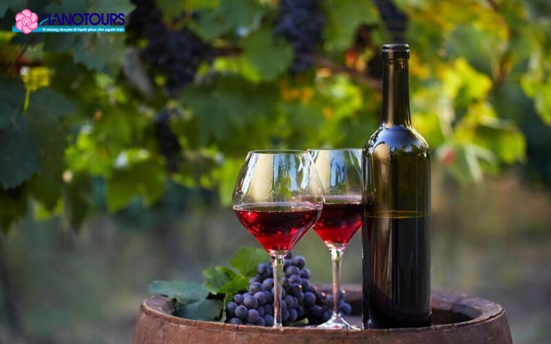 Rượu vang Pháp được chưng cất tỉ mỉ để đạt được hương vị tinh túy nhất