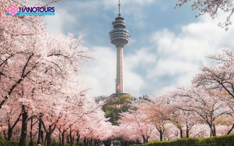 Tháp NamSan là một biểu tượng đặc trưng của Seoul, Hàn Quốc