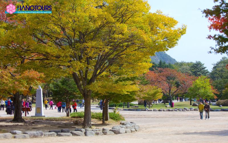 Công viên Seoraksan được bao phủ bởi sắc vàng của mùa thu 