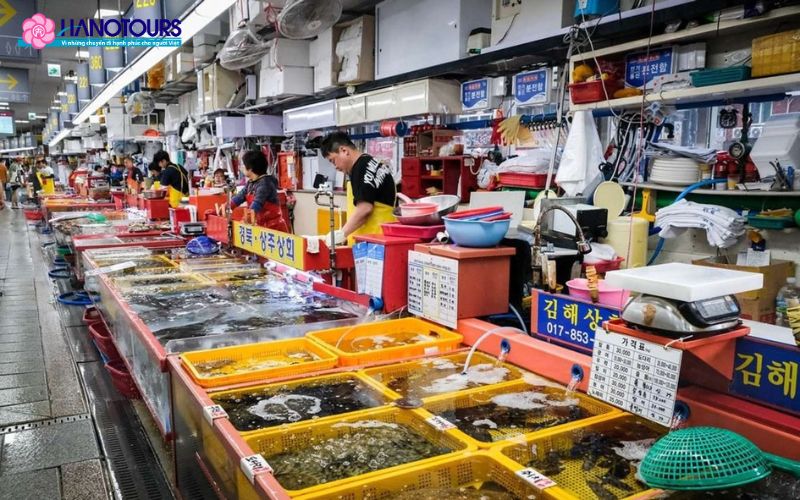 Trải nghiệm đời sống thường nhật của người dân Busan tại chợ cá truyền thống Jagalchi