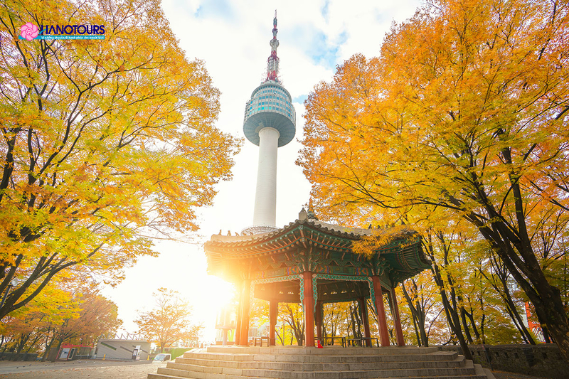 Bạn cũng có thể thăm tòa tháp N Seoul để tận hưởng trọn vẹn mùa thu tại thủ đô