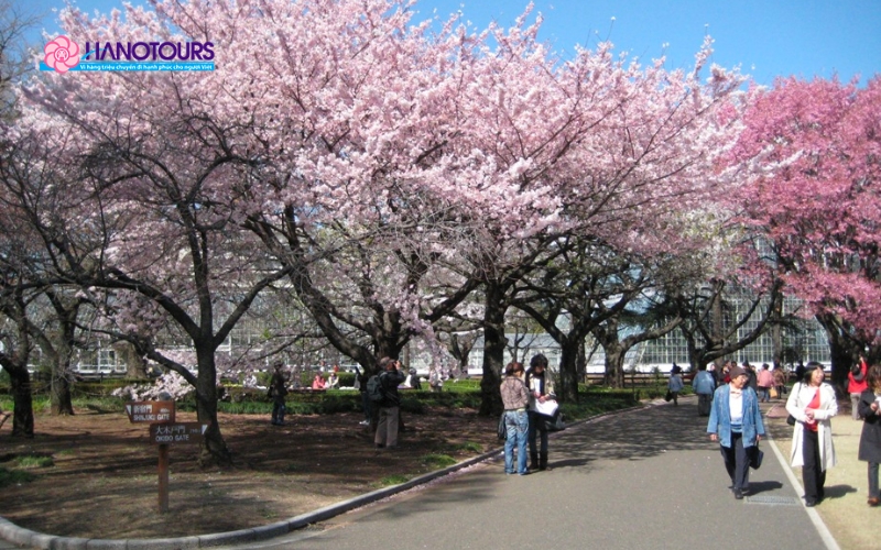 Vườn Quốc gia Shinjuku Gyoen