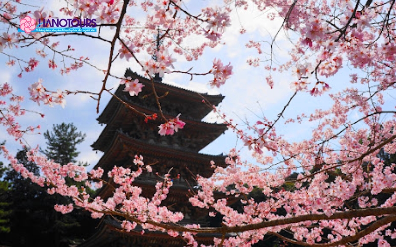 Chùa Daigo-ji