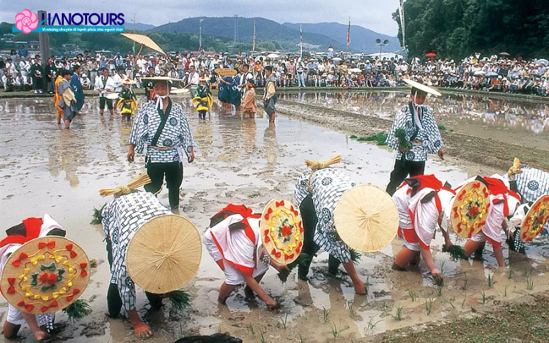 Lễ hội Izawanomiya Otaue - Lễ hội trồng lúa lớn ở Nhật 