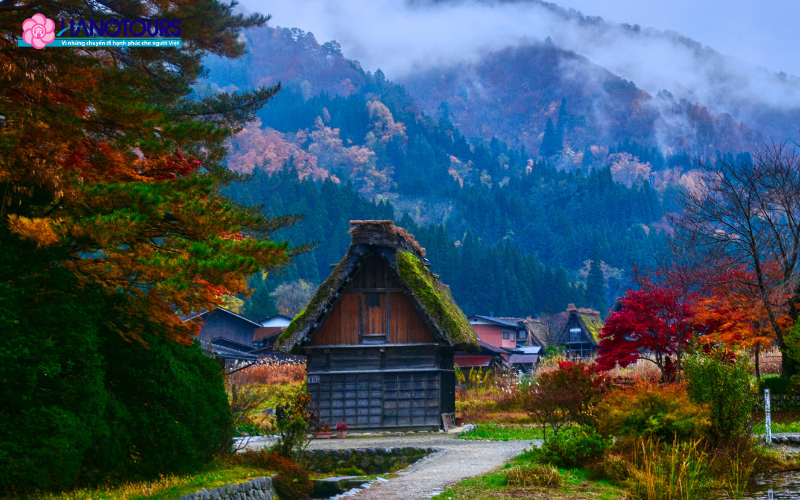 Làng Shirakawa-go vào tháng 6 ở Nhật