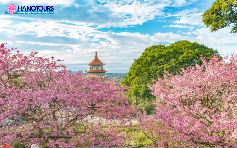 Đài Loan vào mùa xuân là nơi có một khung cảnh thơ mộng và lãng mạn