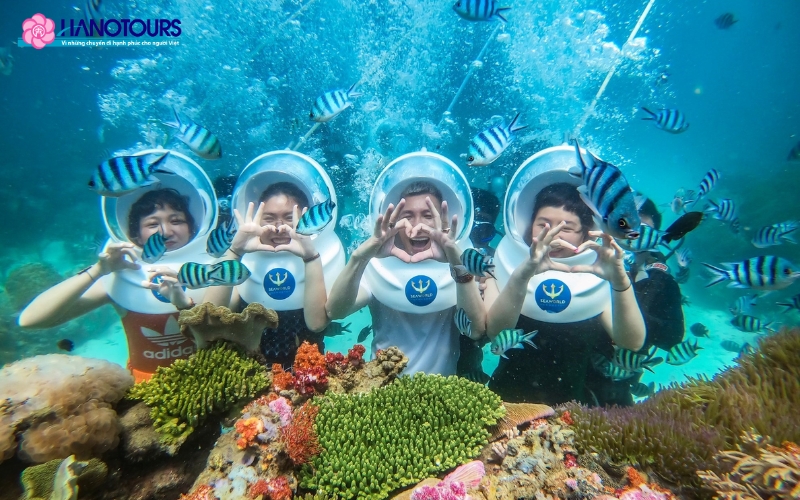 Bạn có trải nghiệm ngắm san hô tại đảo Jeju