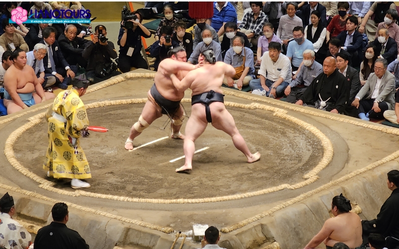 Giải đấu sumo tổ chức ở Tokyo hàng năm 