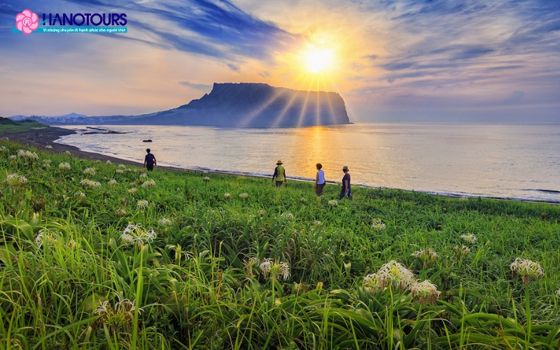 Cùng Hanotours khám phá vẻ đẹp ngoạn mục của đảo Jeju