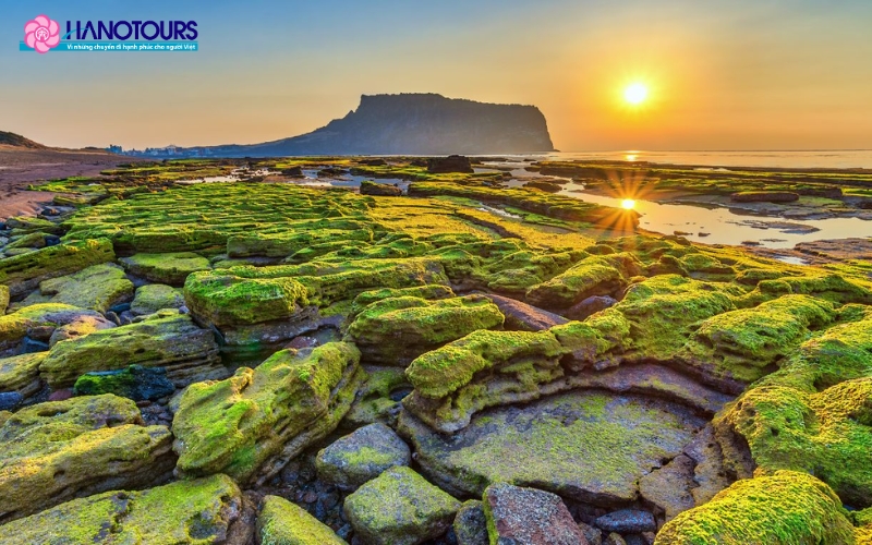 Đảo Jeju tuyệt đẹp qua các mùa